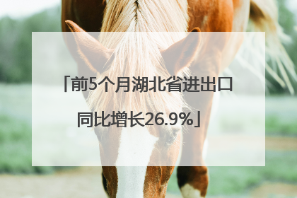 前5个月湖北省进出口同比增长26.9%