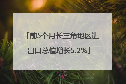 前5个月长三角地区进出口总值增长5.2%