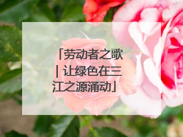 劳动者之歌｜让绿色在三江之源涌动