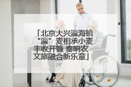 北京大兴瀛海镇“瀛”麦相承小麦丰收开镰 奏响农文旅融合新乐章
