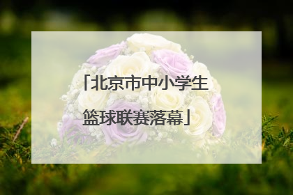 北京市中小学生篮球联赛落幕