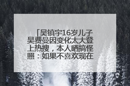 吴镇宇16岁儿子吴费曼因变化太大登上热搜，本人晒搞怪照：如果不喜欢现在的我可以离开