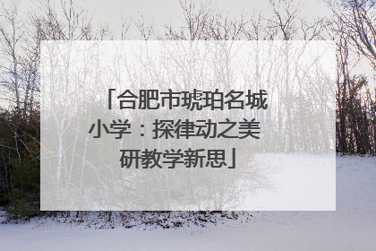 合肥市琥珀名城小学：探律动之美 研教学新思