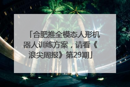 合肥推全模态人形机器人训练方案，请看《浪尖周报》第29期