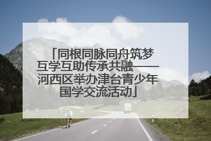 同根同脉同舟筑梦 互学互助传承共融——河西区举办津台青少年国学交流活动