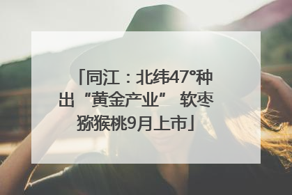 同江：北纬47°种出“黄金产业” 软枣猕猴桃9月上市