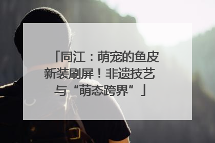 同江：萌宠的鱼皮新装刷屏！非遗技艺与“萌态跨界”