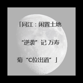 同江：闲置土地“逆袭”记 万寿菊“C位出道”