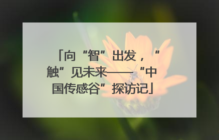 向“智”出发，“触”见未来——“中国传感谷”探访记