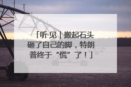听·见｜搬起石头砸了自己的脚，特朗普终于“慌”了！