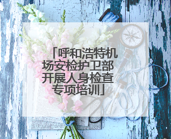 呼和浩特机场安检护卫部开展人身检查专项培训