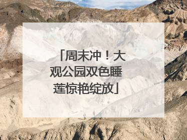 周末冲！大观公园双色睡莲惊艳绽放