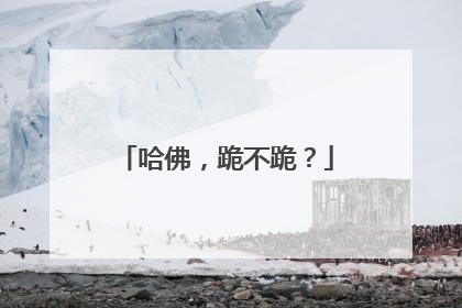 哈佛，跪不跪？