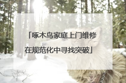 啄木鸟家庭上门维修在规范化中寻找突破