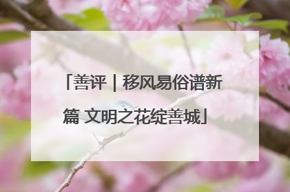 善评｜移风易俗谱新篇 文明之花绽善城