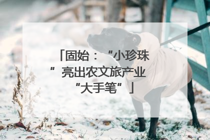 固始：“小珍珠”亮出农文旅产业“大手笔”