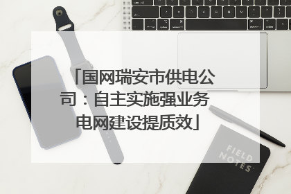 国网瑞安市供电公司：自主实施强业务 电网建设提质效