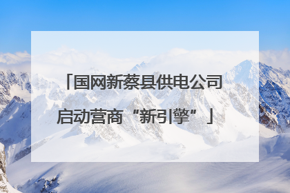 国网新蔡县供电公司启动营商“新引擎”