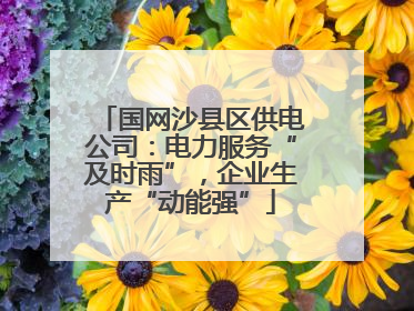 国网沙县区供电公司：电力服务“及时雨”，企业生产“动能强”
