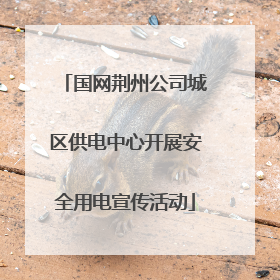 国网荆州公司城区供电中心开展安全用电宣传活动