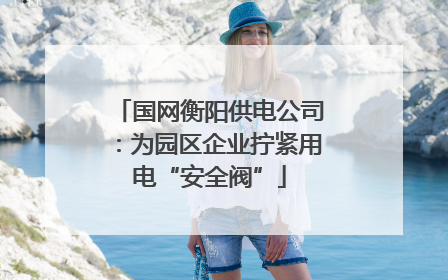 国网衡阳供电公司：为园区企业拧紧用电“安全阀”
