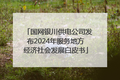 国网银川供电公司发布2024年服务地方经济社会发展白皮书