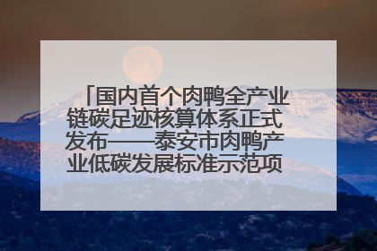 国内首个肉鸭全产业链碳足迹核算体系正式发布——泰安市肉鸭产业低碳发展标准示范项目顺利通过验收