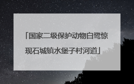 国家二级保护动物白鹭惊现石城镇水堡子村河道