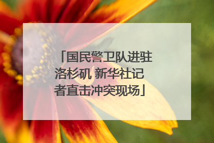 国民警卫队进驻洛杉矶 新华社记者直击冲突现场