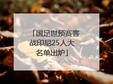 国足世预赛客战印尼25人大名单出炉