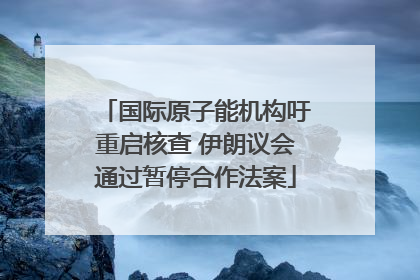 国际原子能机构吁重启核查 伊朗议会通过暂停合作法案