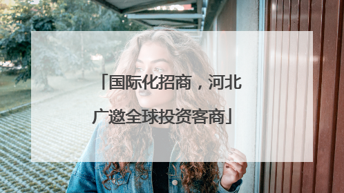 国际化招商，河北广邀全球投资客商