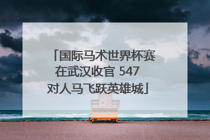 国际马术世界杯赛在武汉收官 547对人马飞跃英雄城