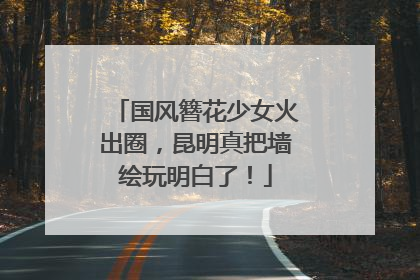 国风簪花少女火出圈，昆明真把墙绘玩明白了！