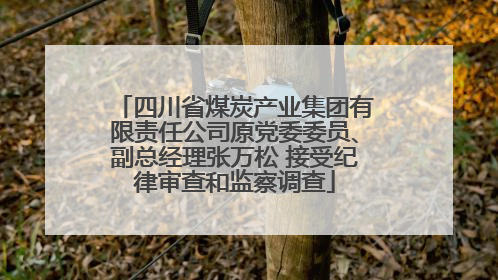 四川省煤炭产业集团有限责任公司原党委委员、副总经理张万松 接受纪律审查和监察调查
