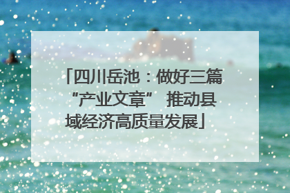 四川岳池：做好三篇“产业文章” 推动县域经济高质量发展