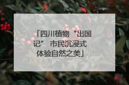 四川植物“出国记” 市民沉浸式体验自然之美