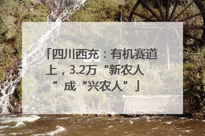 四川西充：有机赛道上，3.2万“新农人”成“兴农人”