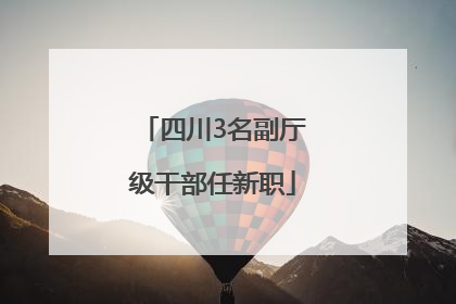 四川3名副厅级干部任新职