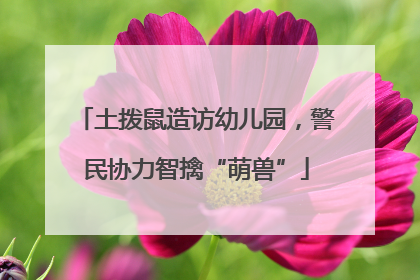 土拨鼠造访幼儿园，警民协力智擒“萌兽”
