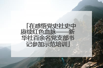 在感悟党史社史中赓续红色血脉——新华社百余名党支部书记参加示范培训