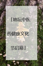 地坛中医药健康文化节启幕