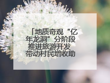 地质奇观“亿年龙洞”分阶段推进旅游开发 带动村民增收助力乡村振兴