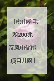 密山柳毛湖200兆瓦风电储能项目并网
