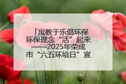 寓教于乐倡环保 环保理念“活”起来——2025年荣成市“六五环境日”宣传活动圆满举行