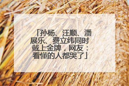 孙杨、汪顺、潘展乐、费立纬同时戴上金牌，网友：看懂的人都哭了