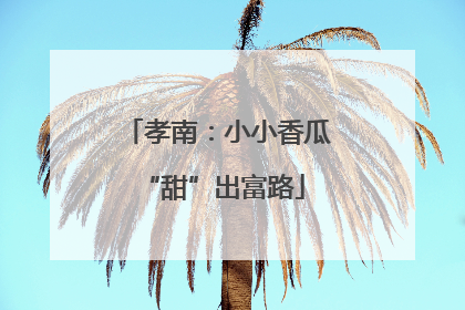 孝南：小小香瓜 “甜”出富路
