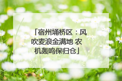 宿州埇桥区：风吹麦浪金满地 农机轰鸣保归仓