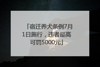 宿迁养犬条例7月1日施行，违者最高可罚5000元