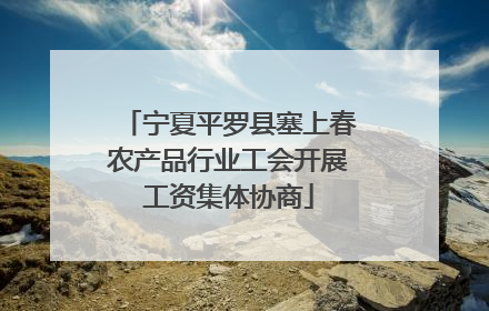 宁夏平罗县塞上春农产品行业工会开展工资集体协商